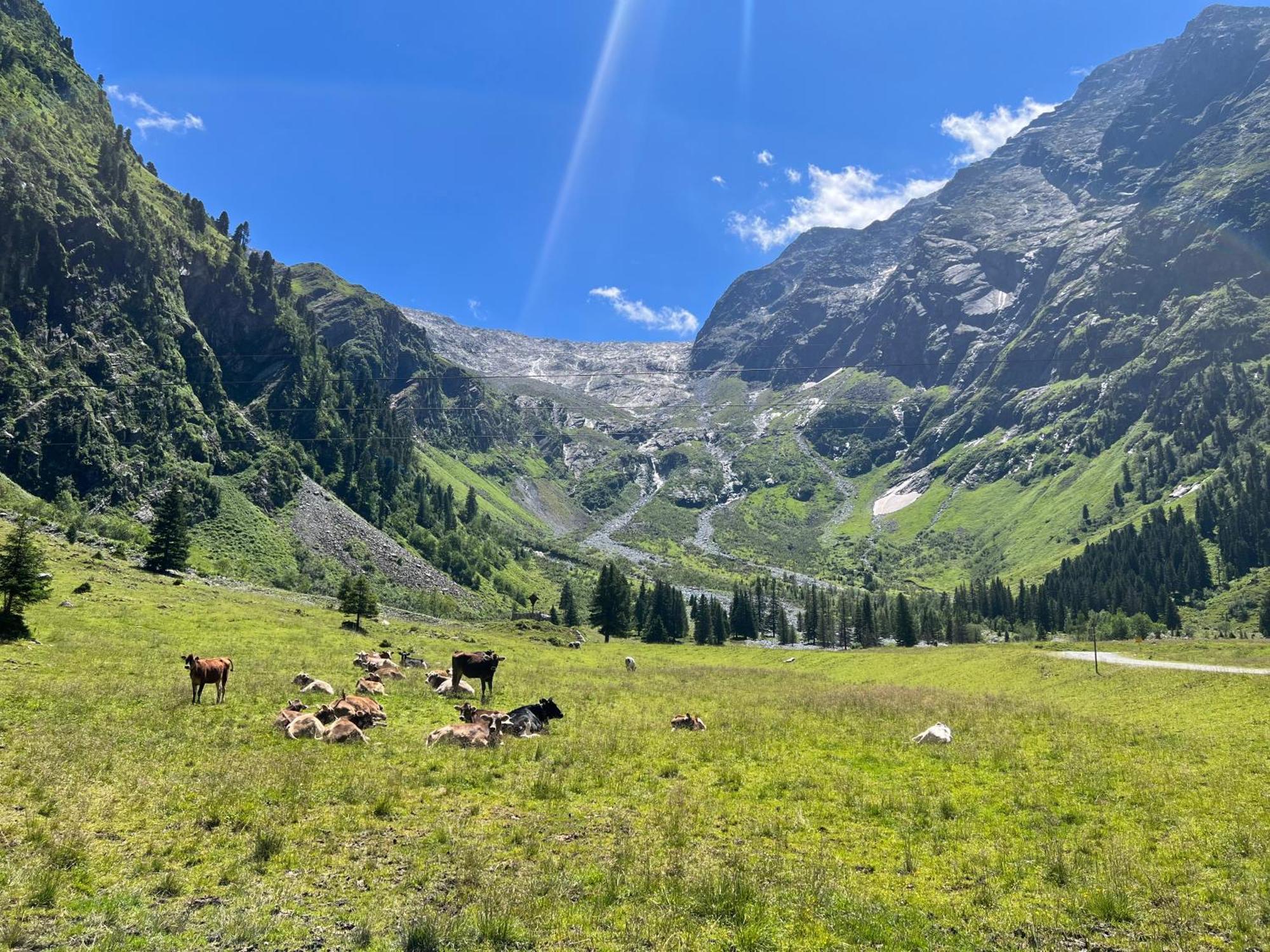 Sankt Sigmund im Sellrain Alpengasthof Luesens - Bergsteigerhaus מראה חיצוני תמונה